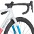Scott Addict RC Pro beluga grey/seashore green