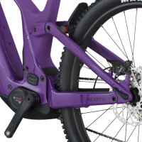 Scott Patron 920 pansy purple